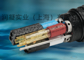 集成探头式水质分析仪